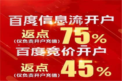 百度竞价案例：行业竞争激烈下的突围